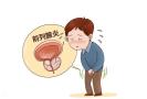 护好男性“生命腺”，盆底康复助力前列腺炎科学养护