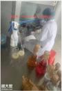 化妆品检验员证培训机构学校
