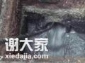 上海金山区朱泾镇管道疏通5047管道修复3372管道检测