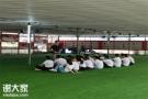 深圳南山农家乐户外野炊烧烤团建一日游