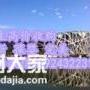 全国诚信收购葆婴及玫琳凯美罗国际产品长期二手求购