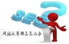 海珠知名的搜索引擎优化团队，为企业带来更高的转换率