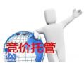 越秀专业竞价账户托管公司，提高企业广告投放效果