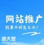 越秀专业的网站推广公司，让企业投放精确广告