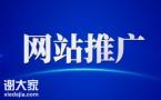 番禺专业的网站推广团队，提升企业网站的价值