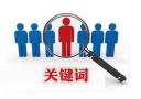 海珠做关键词排名优化的公司，能够增加网站的点击量