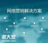 佛山专业做网络营销的公司，帮助企业更好的促进销售